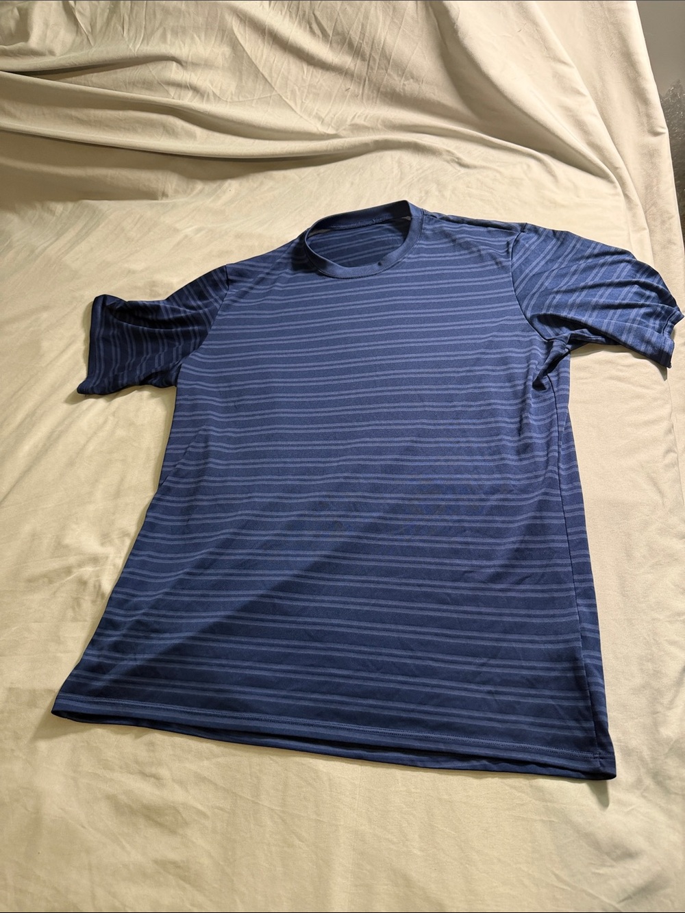 Patagonia Blue Striped Men's Tee